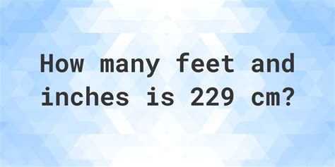 229 cm to feet|More.